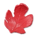 2859mod250gr_pasta_per_modellare_mod_glitter_morocolor_primo_2024_4