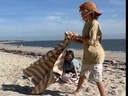 Saco Play & Go OUTDOOR Magical Days
