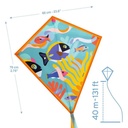 Cometa Ocean