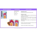 Cartas Oudordodo