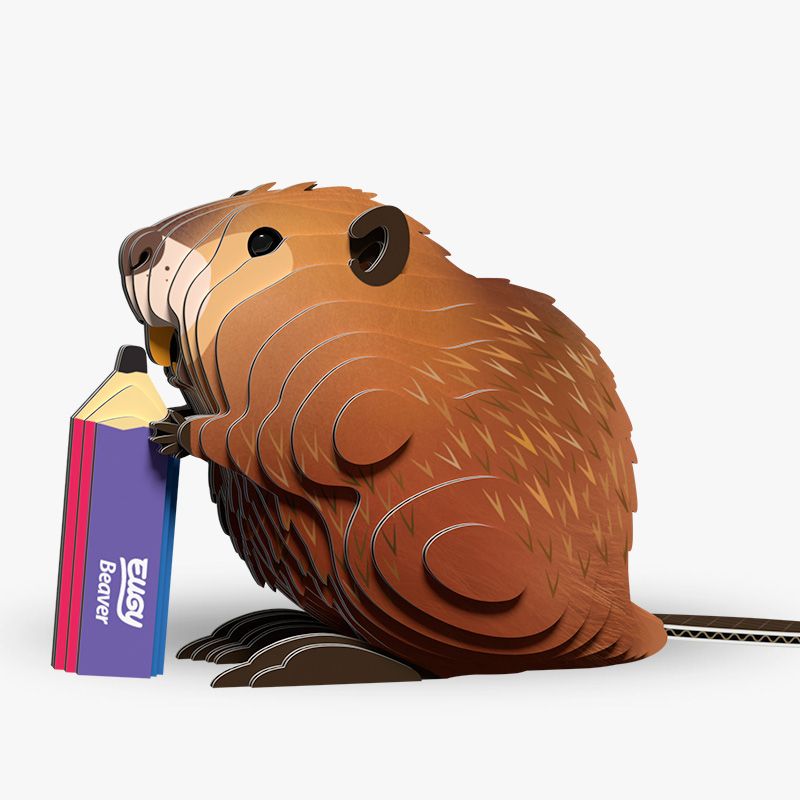 Eugy - Beaver 127