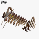 Eugy - Giant Weta