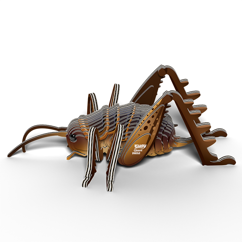 Eugy - Giant Weta