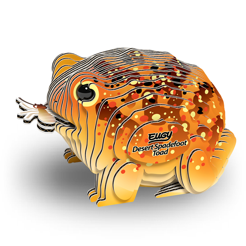 Eugy - Desert Spadefoot Toad 117