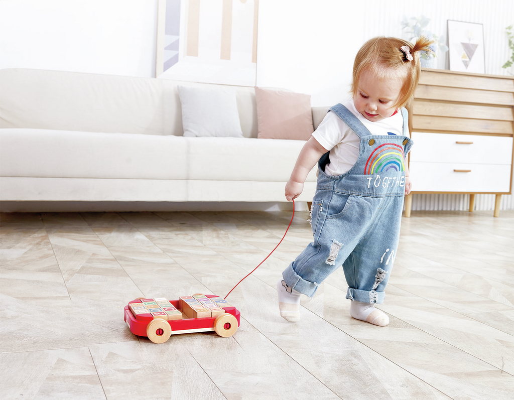 Carro de arrastre con bloques - Hape