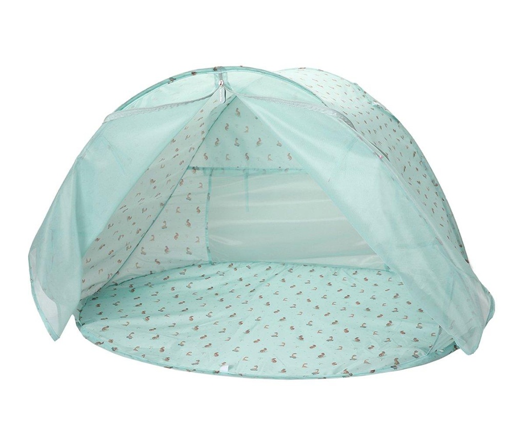 Carpa Monnëka - Cool Dinos