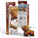 Eugy - Highland Cow 106