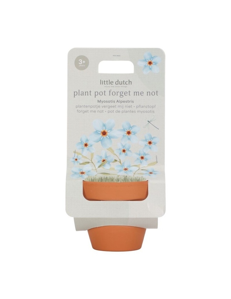 Maceta Planta No me olvides Little Dutch