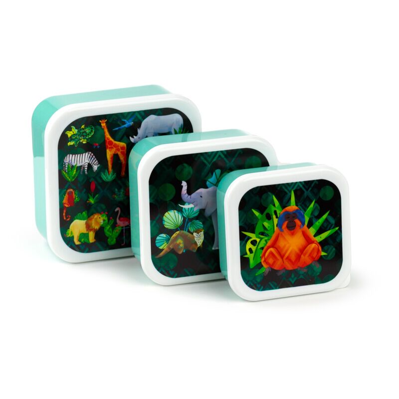 Set de 3 cajitas - Animal Kingdom