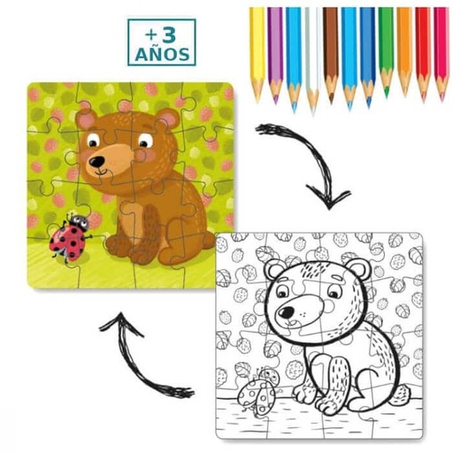 Puzzle 2 en 1 colorear - Osito