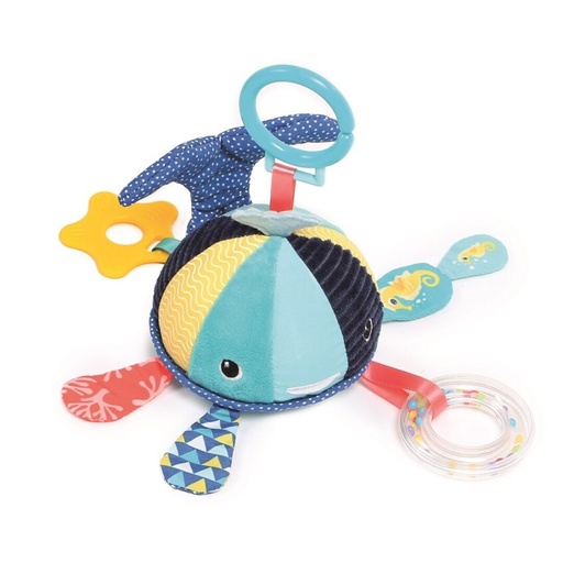 Actividades Ballena - Ludi