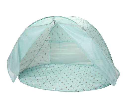 Carpa Monnëka - Cool Dinos