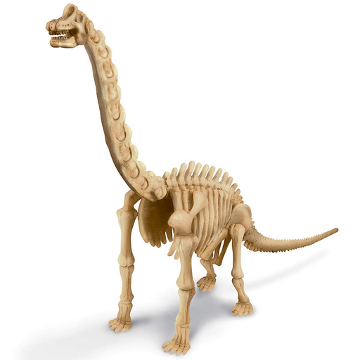 Kidz Labs Kit Geológico - Brachiosaurus