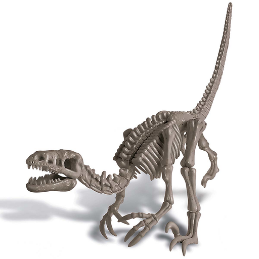 Kidz Labs Kit Geológico - Velociraptor