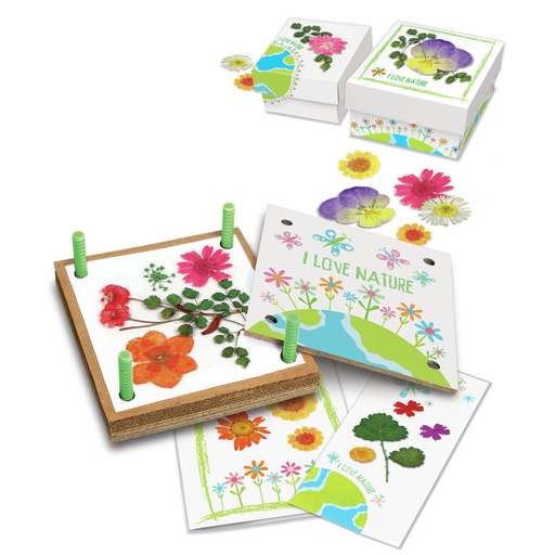 Taller de Flores Prensadas - Green Creativity 