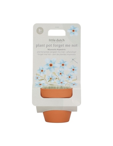 Maceta Planta No me olvides Little Dutch